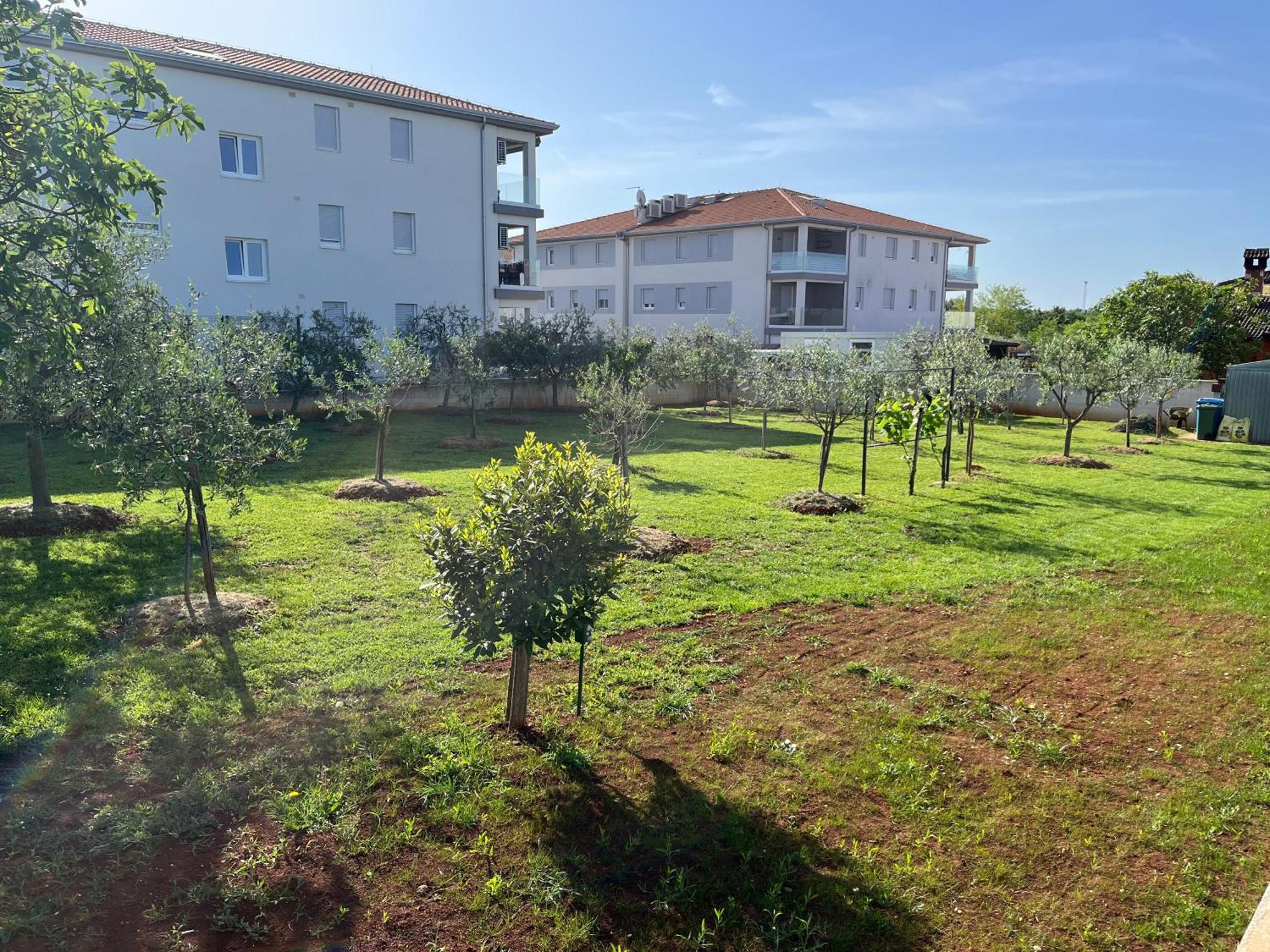 Apartments M&M Terzic Porec Exterior photo